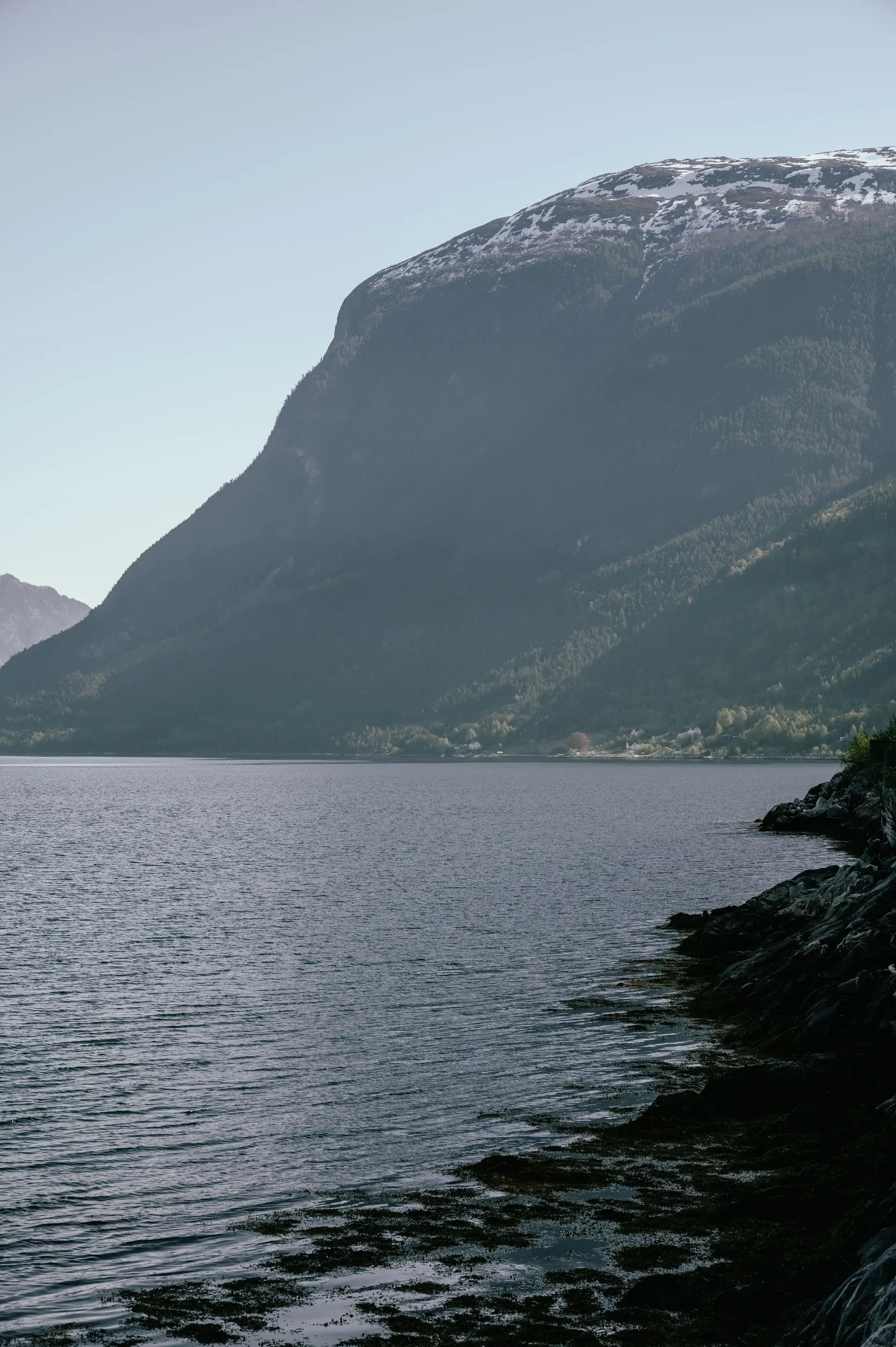 Utsyn over rolig norsk fjord og snøkledde fjell i tidlig morgenlys