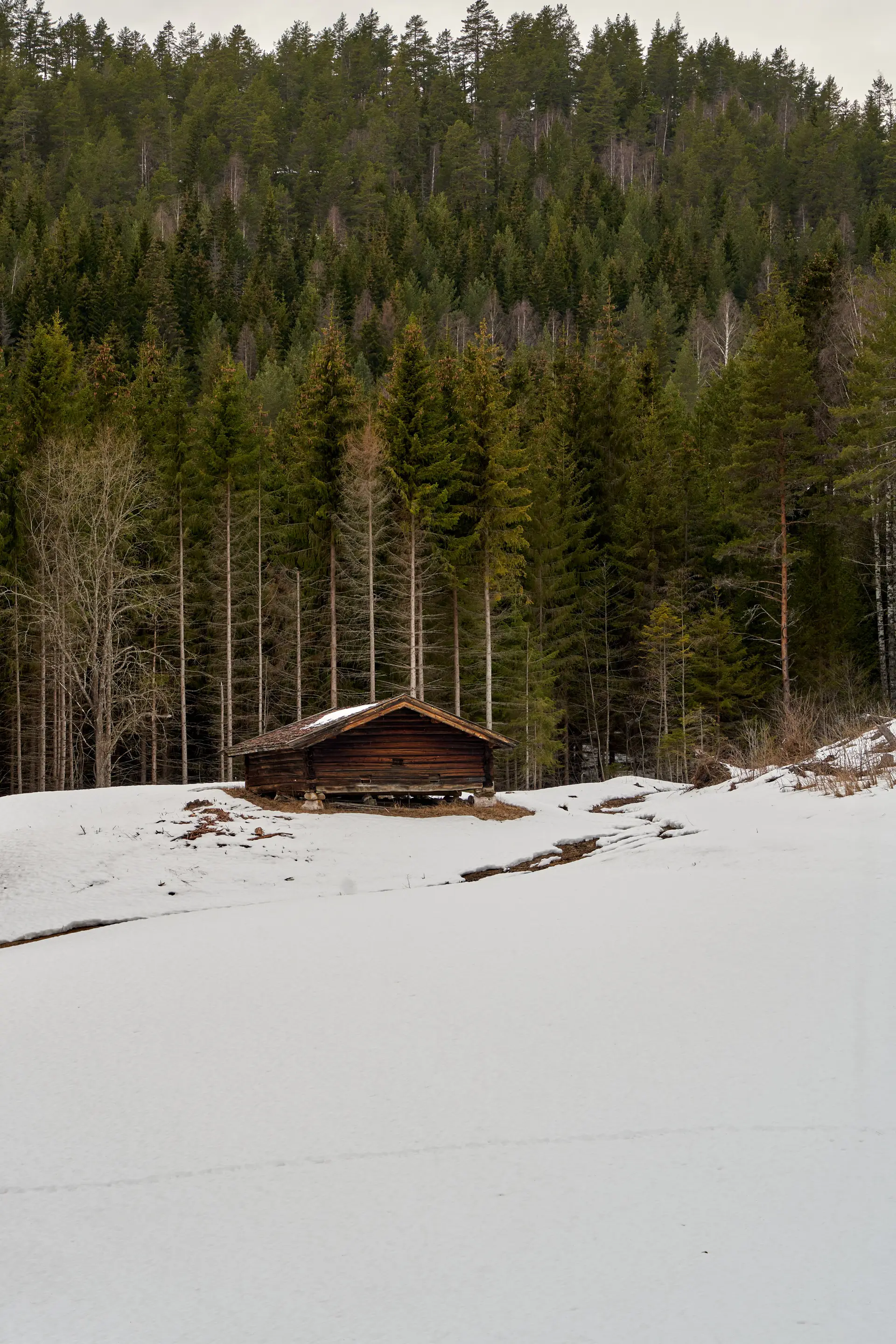 Rustikk tømmerhytte i snølandskap og stille vinterskog
